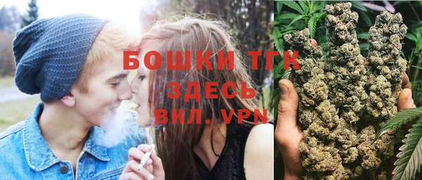 хмурый Верхний Тагил