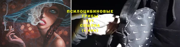 ALPHA PVP Верея