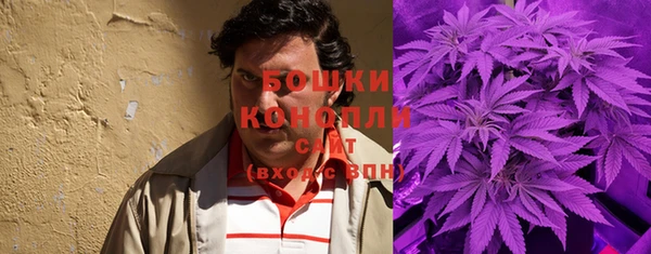 хмурый Верхний Тагил